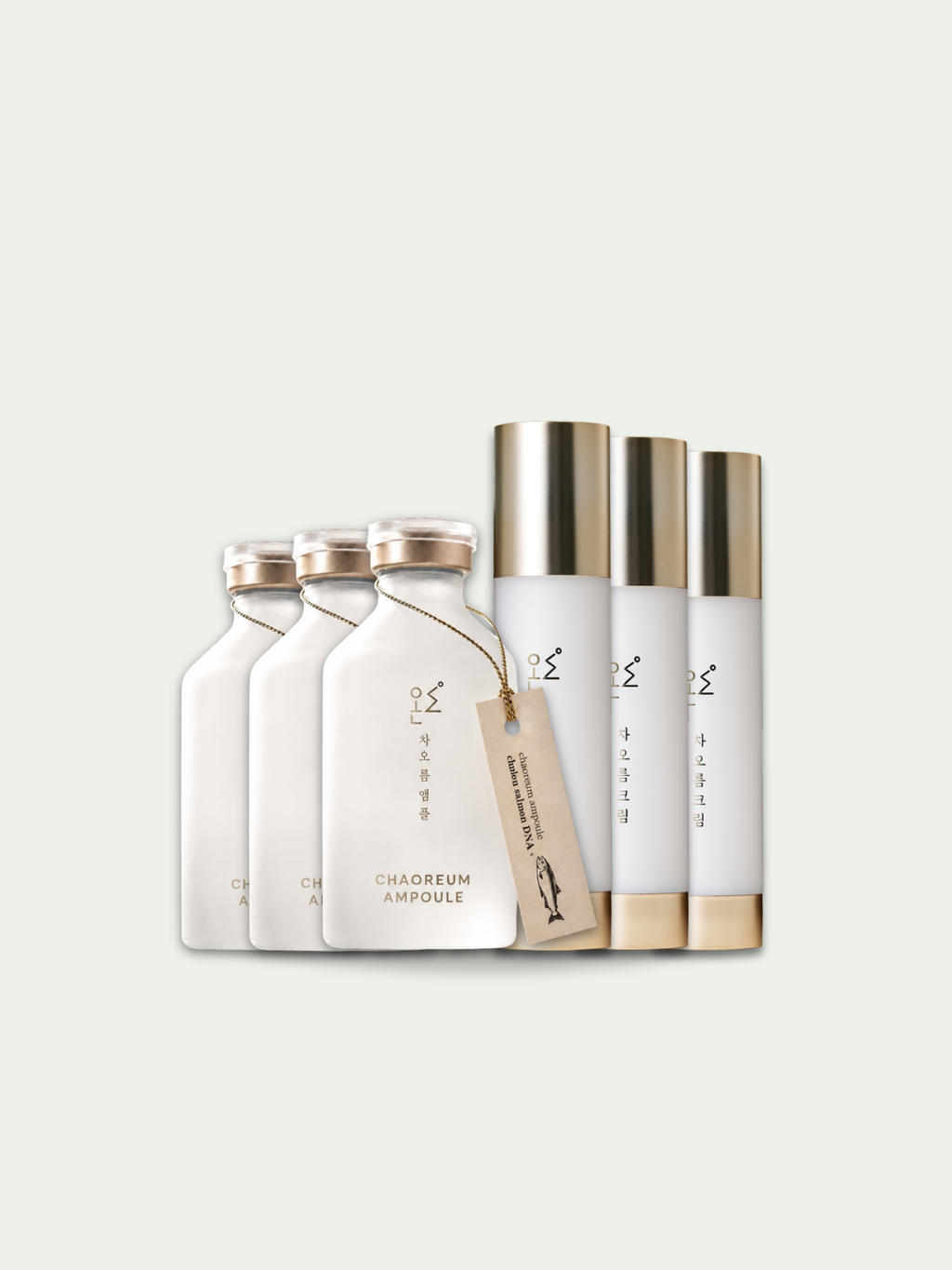 Bundle Package