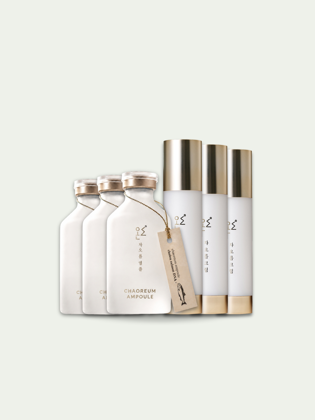 Bundle Package